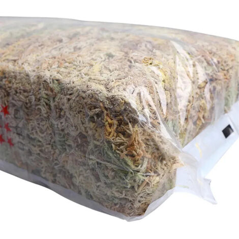 Musgo Sphagnum Plantas Macetas Musgo Seco 12l (1/5)