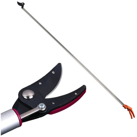 Techniques de taille lagage dextension longue porte (1/5)