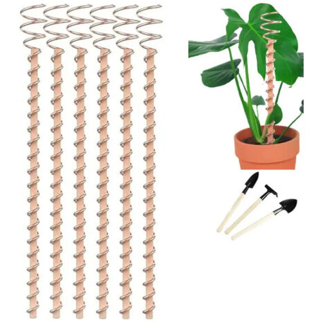 Nouvelle lectroculture pour bouturage de plantes bobine et sf (1/5)