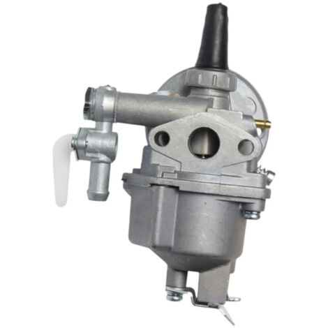 Carburateur pour Desbrozadora 150012525 Accessoires Robuste (1/5)
