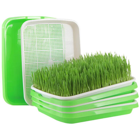 Bandeja Drenaje Y Germinación Hidroponía Para Plantas A (1/5)
