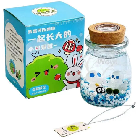 Minimacetero Marimo Moss Ball Ecosystem Para Botellas Z (1/3)