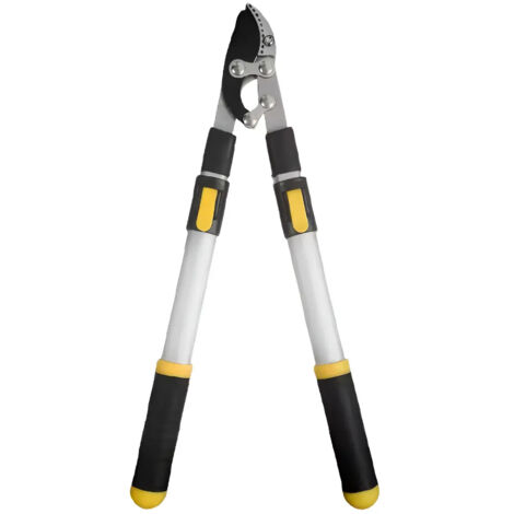 Scateur pour arbres fruitiers longue branche (1/5)
