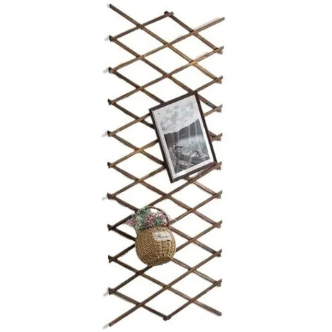 Treillis extensible en bois naturel pour plantes grimpantes (1/5)