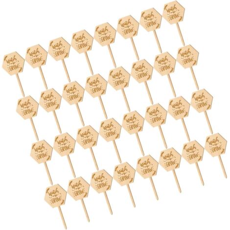 40 étiquettes en bois pour petites plantes de jardin d'extérieur (1/5)