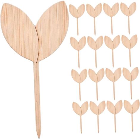 40 étiquettes en bois pour plantes, marqueurs pour jardin et pépinière (1/5)
