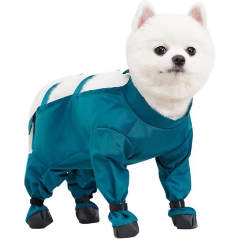 de neige pour chien avec bottes protection des pattes r (1/5)