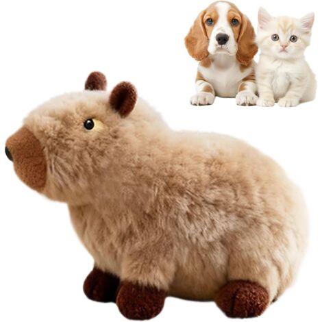 Jouet en peluche pour chien avec couineur Pour chiots m cher (1/5)