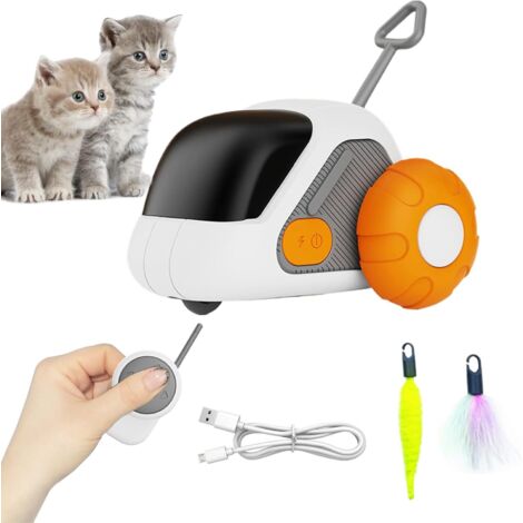 Interactif pour Chat Jeu Automatique pour Animaux avec T l (1/5)