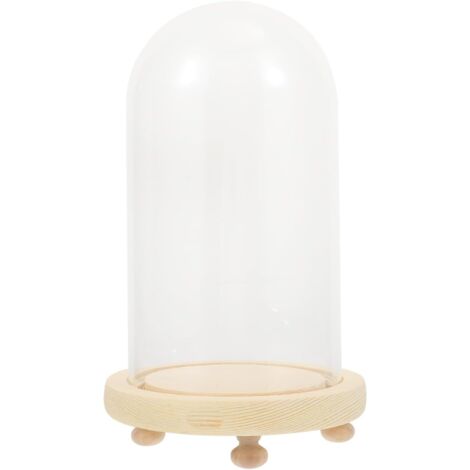 en Verre 10X18 CM Socle en Bois pour Fleurs Pr serv es D (1/5)