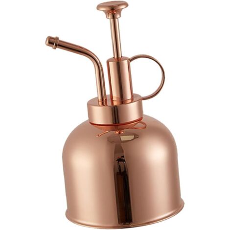 en M tal Inoxydable 304 R tro pour Jardinage Arrosoir De (1/5)