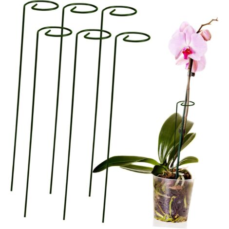 ces Tuteurs pour Plantes Int rieur Supports pour Orchid es (1/5)