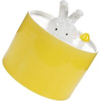Fontaine Céramique pour Chat avec Filtre Intégré Distributeur Eau