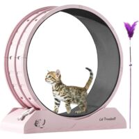 Roue d'exercice silencieuse pour chat - Roue d'exercice pour