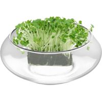 Bocal en Verre pour,Grand Pot pour Grasses Bac Poisson Large