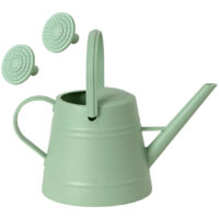 Arrosoir portable pour plantes avec long manche