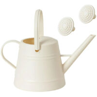 Arrosoir portable pour plantes avec long manche