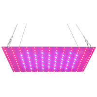 Lámpara Crecimiento Led Espectro Completo 81 Leds Para Plante