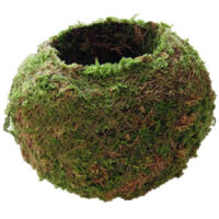 Bola De Musgo De 6 Cm