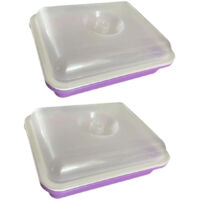 Kit De Germination De Semillas Premium Para El Violeta