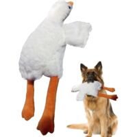 M cher pour Chien Divertissement des Animaux Qui S ennuient