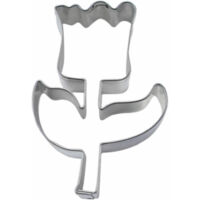 Städter Tulpe 5,5 cm