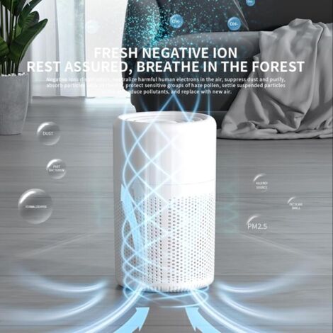 Purificateur D'Air Portable Ioniseur ÉLimination des Odeurs de FuméE