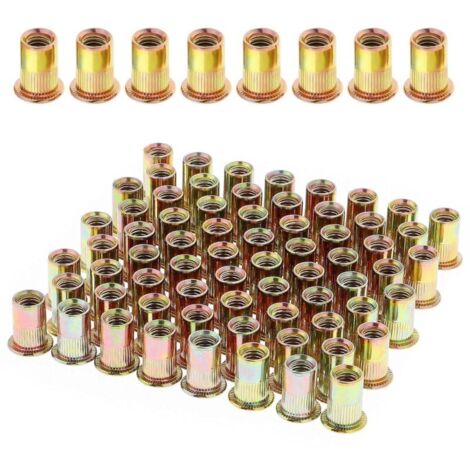 100 Pièces Écrou à Rivet M6 Fileté à Tête Plate, Écrous à Riveter Fileter en Acier au Carbone Zingué, Assortiment M6 Rivet Inserts Filetés pour Métal Plastique (12 mm x 15 mm) (1/5)