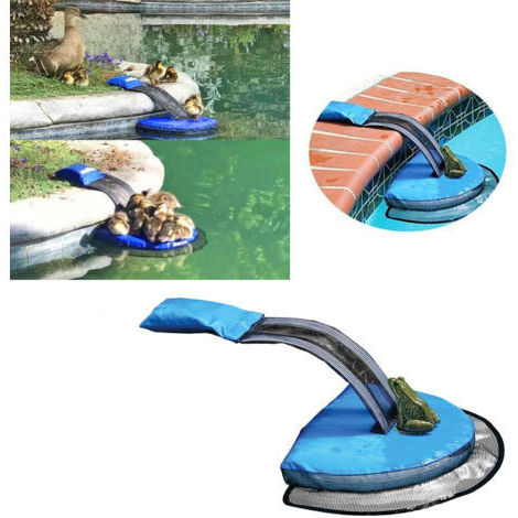 Rampe de sauvetage pour animaux, rampe flottante pour piscine, tapis de