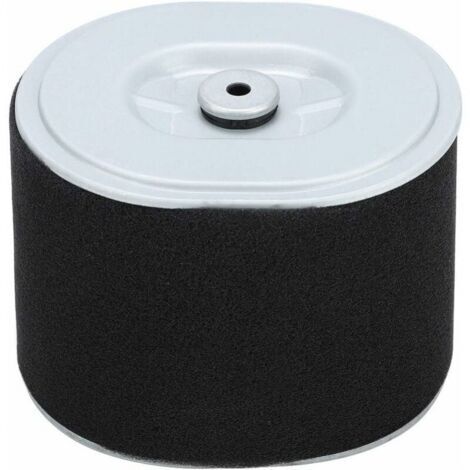 Filtre à Air Gx390 Filtre à Air Filtre à Air Af Ze28 Moteur Gx390 Pièces de Nettoyeur Haute Pression Gx390 294, Accessoire de Remplacement de Filtre à Air pour Tondeuse à Gazon pour Moteur Hond (1/5)