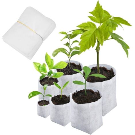 600 sacs de semis biodégradables 6 tailles de sacs de plantation non tissés pour les pommes de terre, les tomates et les plantes de jardin (1/5)