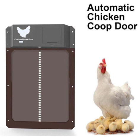 Porte Automatique poulailler, Trappe poulailler, Poulet Coop pour élever en Toute sécurité, volet électrique avec Rails de Guidage, poulailler pour Poulets (1/5)