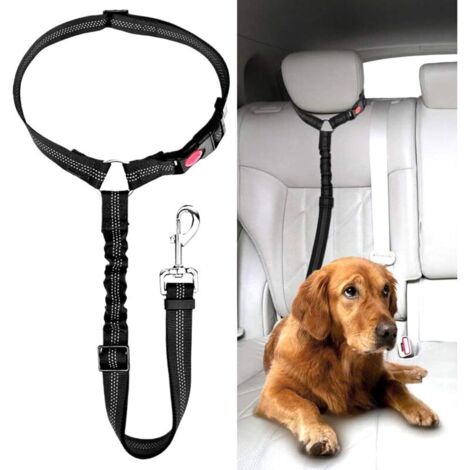 Ceinture Chien Voiture, Universel Harnais Voiture Réglable pour Chien & Chat avec Absorption des Chocs,Harnais Voiture pour Chiens,Ceinture de Sécurité pour Chien