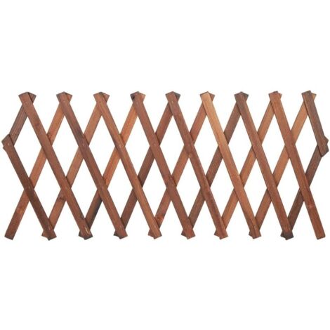 Treillis extensible en pin pour plantes grimpantes – Dimensions ajustables 120 x 35cm. 155 x 30cm. 180 x 25cm – Support robuste pour vignes et fleurs