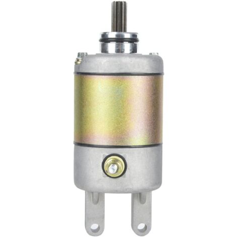Démarreur de moteur électrique en acier inoxydable pour scooter et VTT Linhai 250CC-300CC – Étanche et durable – Performance fiable (1/5)