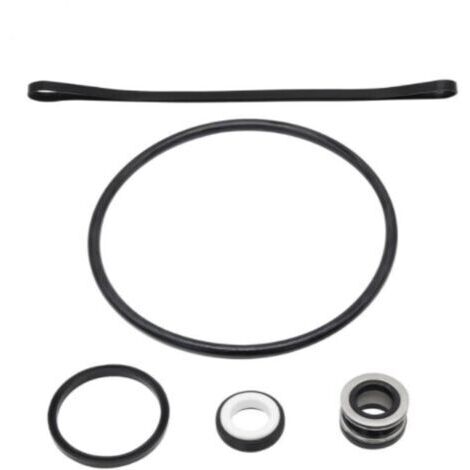 Kit de Réparation de Joint Torique SP3000X pour Pompe Hayward – Inclut Ensemble de Joint d'Arbre SPX1600Z2 PS-20 – Rénovation Complète (1/5)
