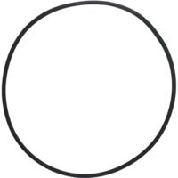 Collier de Serrage et Joint d’Étanchéité Pentair 39010200 – pour Filtres CCP 520/420/320