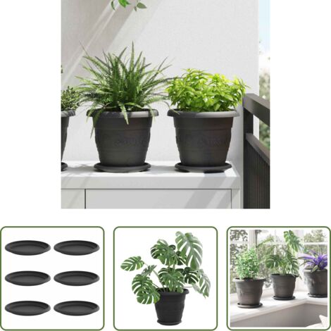 Bandeja redonda -  Bandeja Redonda para Flores 6 pcs Negro Ø 17,5 x 2 cm Plástico