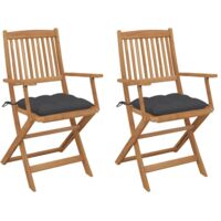 Furniture Limited - Sillas de jardín plegables 2 uds y cojines