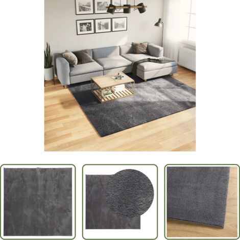 Tappeto antiscivolo -  Tappeto Pelo Corto HUARTE Morbido Lavabile Antracite 240x240 cm