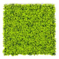 Setos artificiales para pared (paquete de 4), pantallas de privacidad para jardín, fondo de pared de césped artificial, protección UV, 50 cm x 50 cm