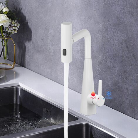 Rubinetto cucina con spruzzatore estraibile, miscelatore per lavello