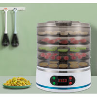 Disidratatore alimenti 5 piani, essiccatore frutta, essiccatore carne secca e frutta