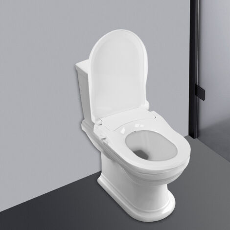 Non-Electric Bidet Bathroom Toilet Seat Dual Cleaning Nozzle Water Spray