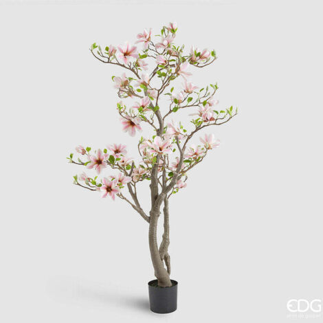 EDG Enzo De Gasperi Magnolia con Foglie, Bocciolo e Vaso H 180 Cm Pianta Artificiale Bianco Rosa