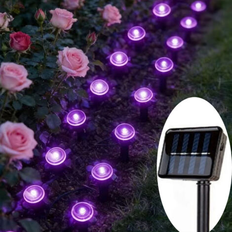 Lampe solaire de chemin à 10 LED, lampe solaire de jardin extérieure de 3,8 m, lampe solaire au sol, IP65, pour patios, chemins, pelouses, violet (1/5)