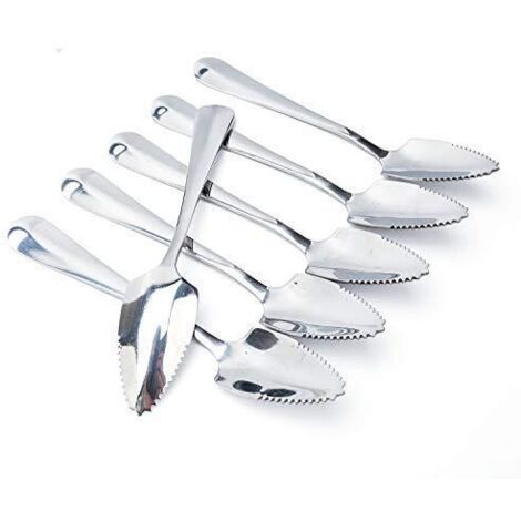 Lot de 6 cuillères à pamplemousse en acier inoxydable 15,5 cm (1/4)