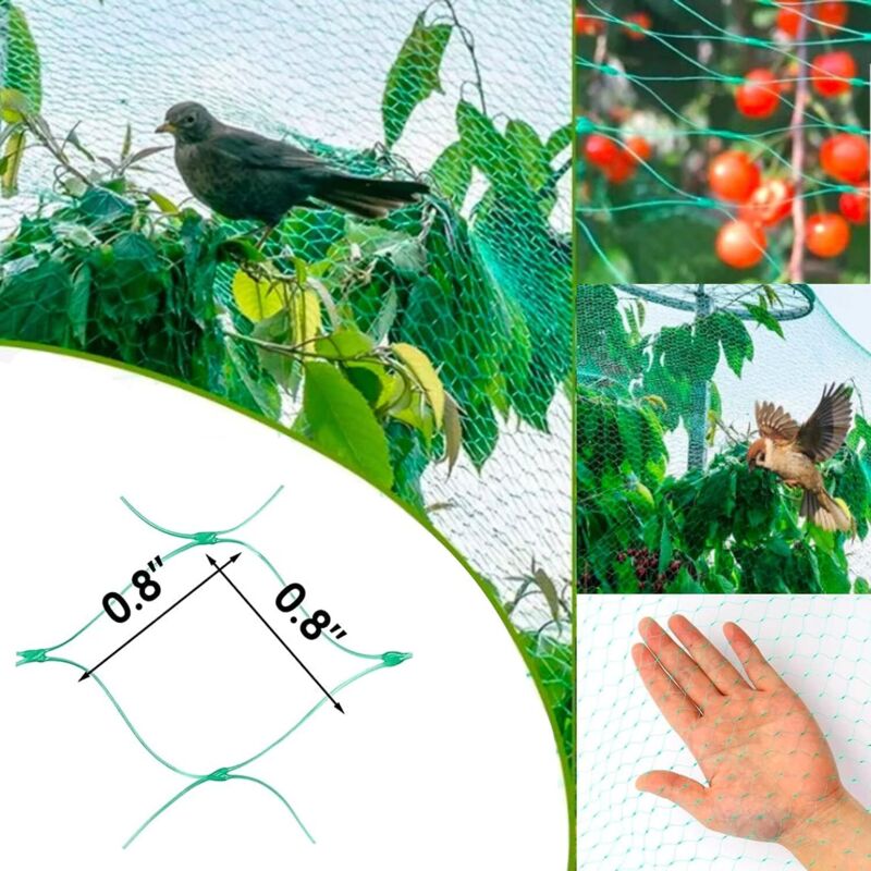 Filet Anti Oiseaux Jardin 2.1x30m - Robuste Réutilisable PP - Protection Fruits Légumes Fleurs Étang - 50 Attaches