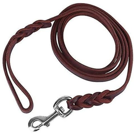 Laisse en cuir tressée pour chien (1,5 m) (1/3)