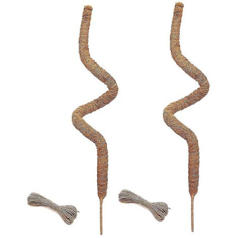 Lot de 2 poteaux en mousse de 48 pouces, poteaux en mousse pliables pour plantes grimpantes Monstera d'intérieur, treillis de jardin (1/3)